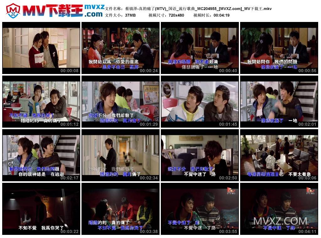 蔡镇泽-真的痛了(MTV)_国语_流行歌曲_MC204955